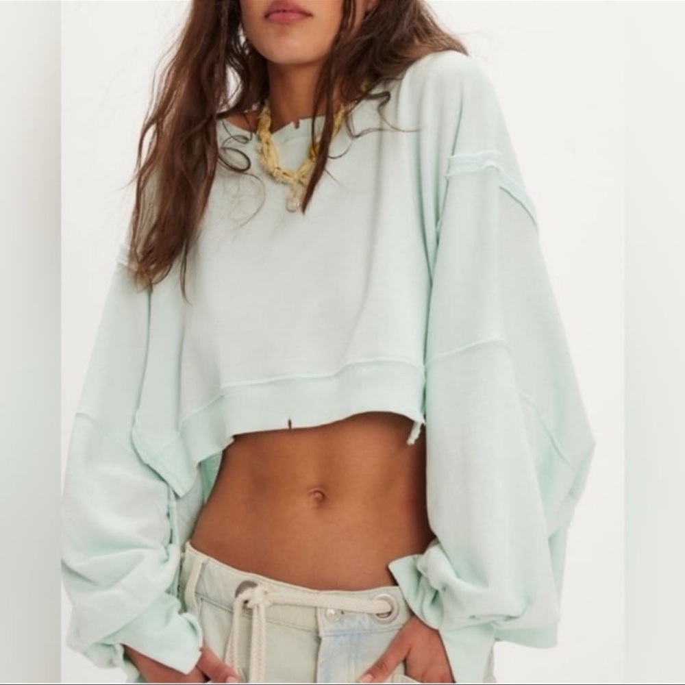 NWT We the Free Camden Cropped Sweatshirt - Picture 3 of 4